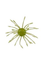 GARY YAMAMOTO YAMAMOTO UNI