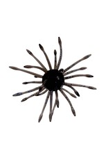 GARY YAMAMOTO YAMAMOTO UNI