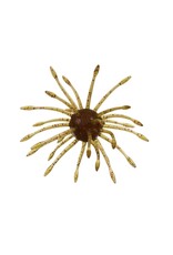 GARY YAMAMOTO YAMAMOTO UNI