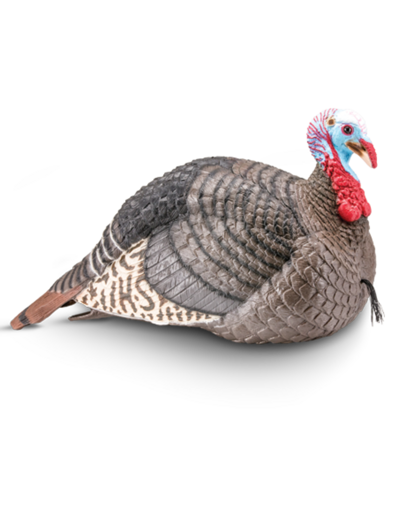 HUNTERS SPECIALTIES HUNTERS SPECIALTIES STRUT LITE SEMI-AGGRESSIVE JAKE