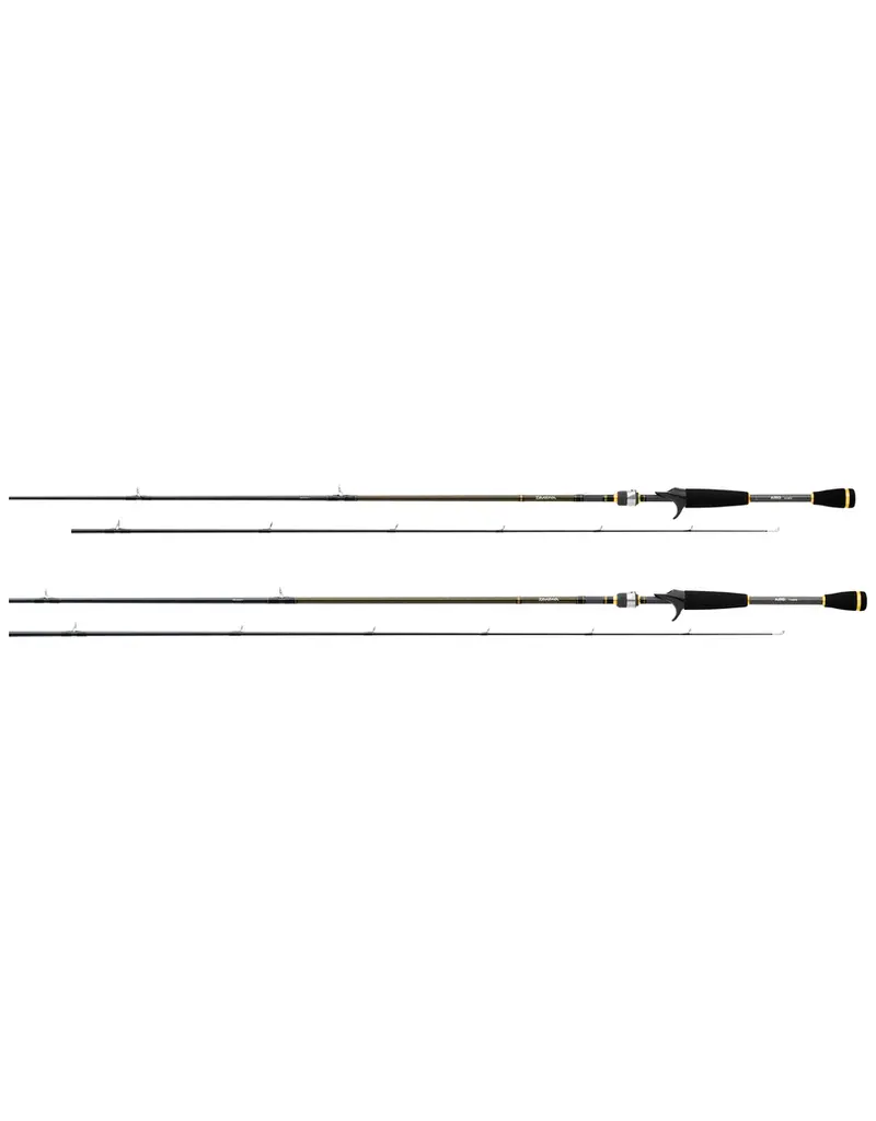 DAIWA DAIWA AIRD X BAITCASTING ROD