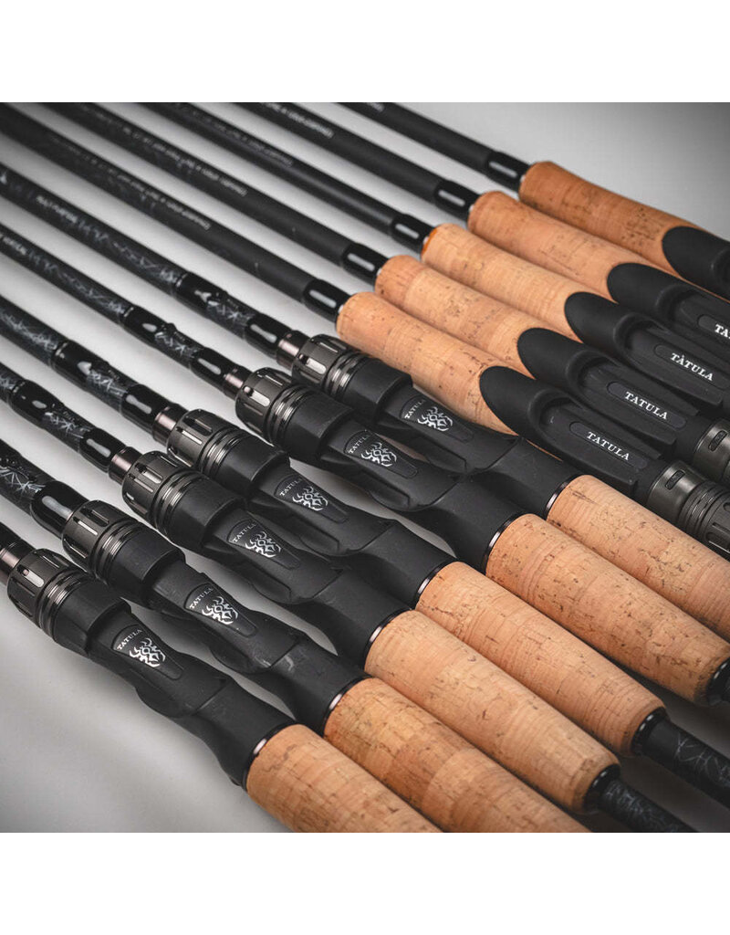 DAIWA DAIWA TATULA SPINNING ROD 2PC
