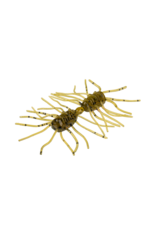 STRIKE KING STRIKE KING SEXY BUG 6PK