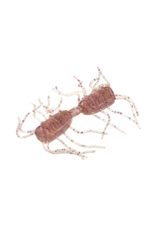 STRIKE KING STRIKE KING SEXY BUG 6PK