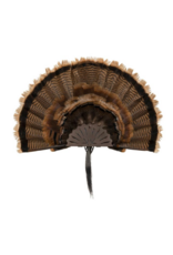 ALLEN ALLEN EZ MOUNT TURKEY FAN DISPLAY