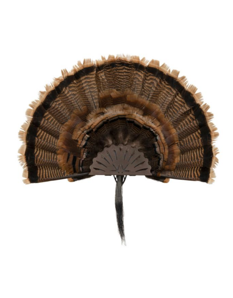 ALLEN ALLEN EZ MOUNT TURKEY FAN DISPLAY