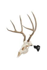 ALLEN ALLEN EZ MOUNT SKULL STAND 3 POSITION BRACKET