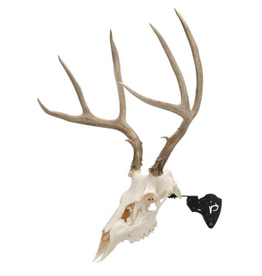 ALLEN ALLEN EZ MOUNT SKULL STAND 3 POSITION BRACKET