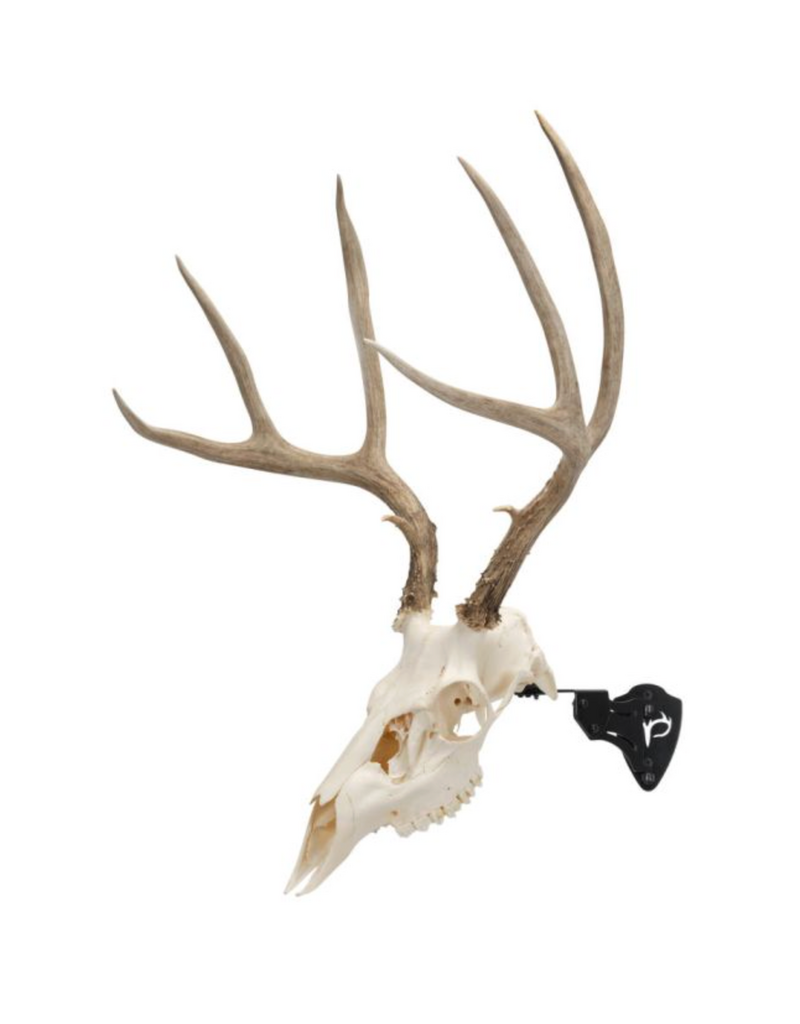 ALLEN ALLEN EZ MOUNT SKULL STAND 3 POSITION BRACKET