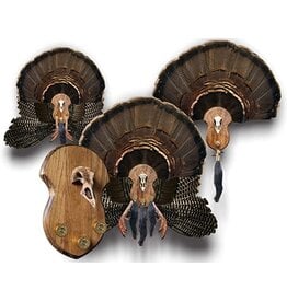 ILLUSION ILLUSION BEARD MASTER ULTIMATE TURKEY PLAQUE
