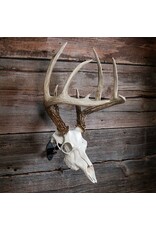 ILLUSION ILLUSION SKULL MASTER RECORD KEEPER DEER SKULL MOUNTING KIT