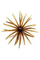 SETO BAITS SETO BAITS MONDO HYDRA 20MM