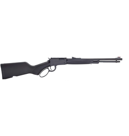 HENRY HENRY H1 X MODEL .22 WMR
