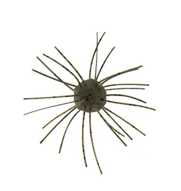 Z MAN FUZZY BUGZ 1.75" 4PK