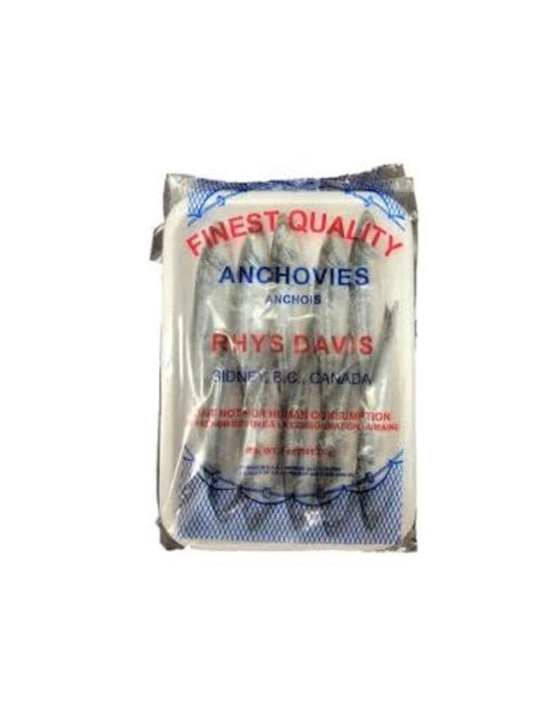 RHYS DAVIS RHYS DAVIS ANCHOVIES 10 PACK