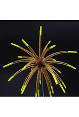 PROWATER BAITS PROWATER BAITS 20MM SCOUSER URCHIN