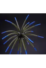 PROWATER BAITS PROWATER BAITS 20MM SCOUSER URCHIN