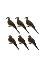 AVIAN-X AVIAN X AXP FULLBODY DOVE DECOY 6PK