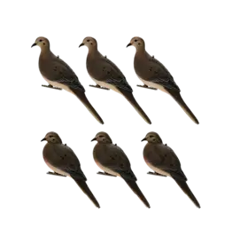 AVIAN-X AVIAN X AXP FULLBODY DOVE DECOY 6PK