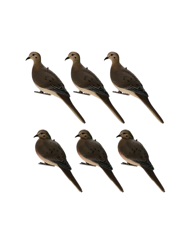 AVIAN-X AVIAN X AXP FULLBODY DOVE DECOY 6PK