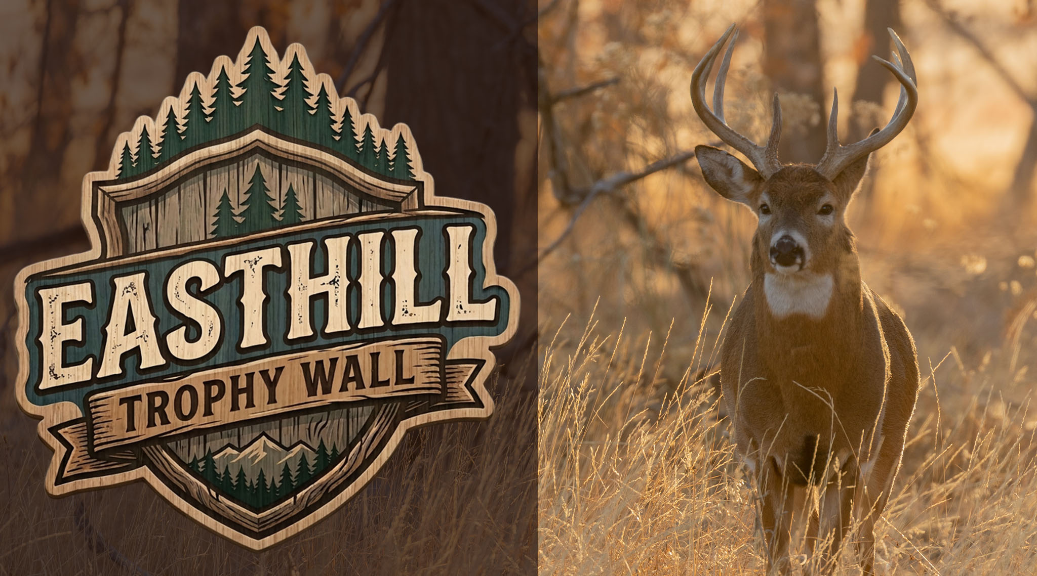 TROPHY WALL