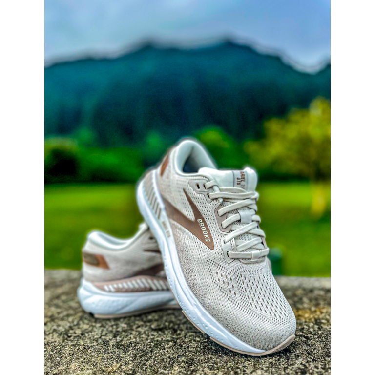 Brooks Ariel GTS 24