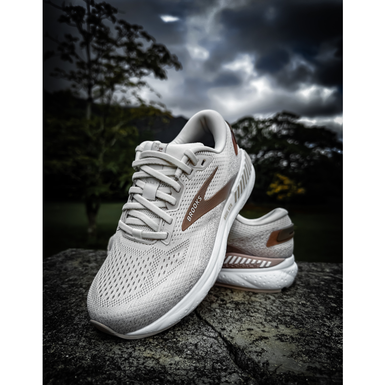 Brooks Ariel GTS 24