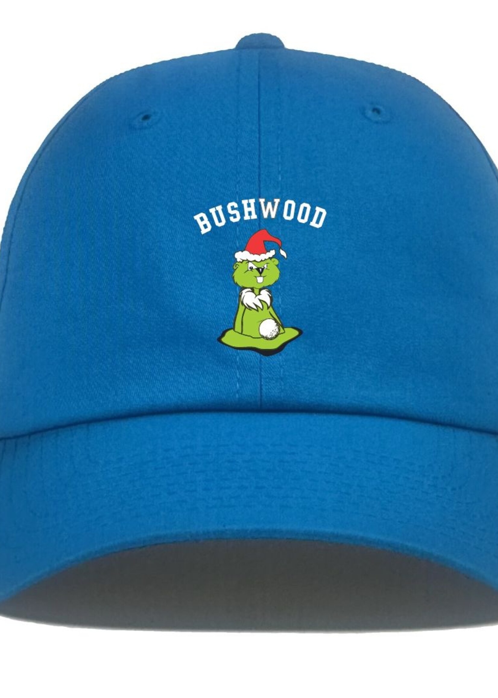 levelwear Gopher Grinch Light Blue Hat