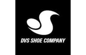 DVS