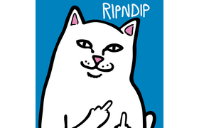 RIP N DIP