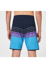 OAKLEY Oakley Retro Lines Boardshorts