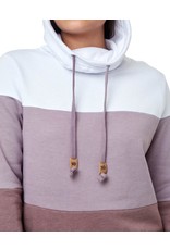 Tentree Treefleece Blocked Banshee Hoodie