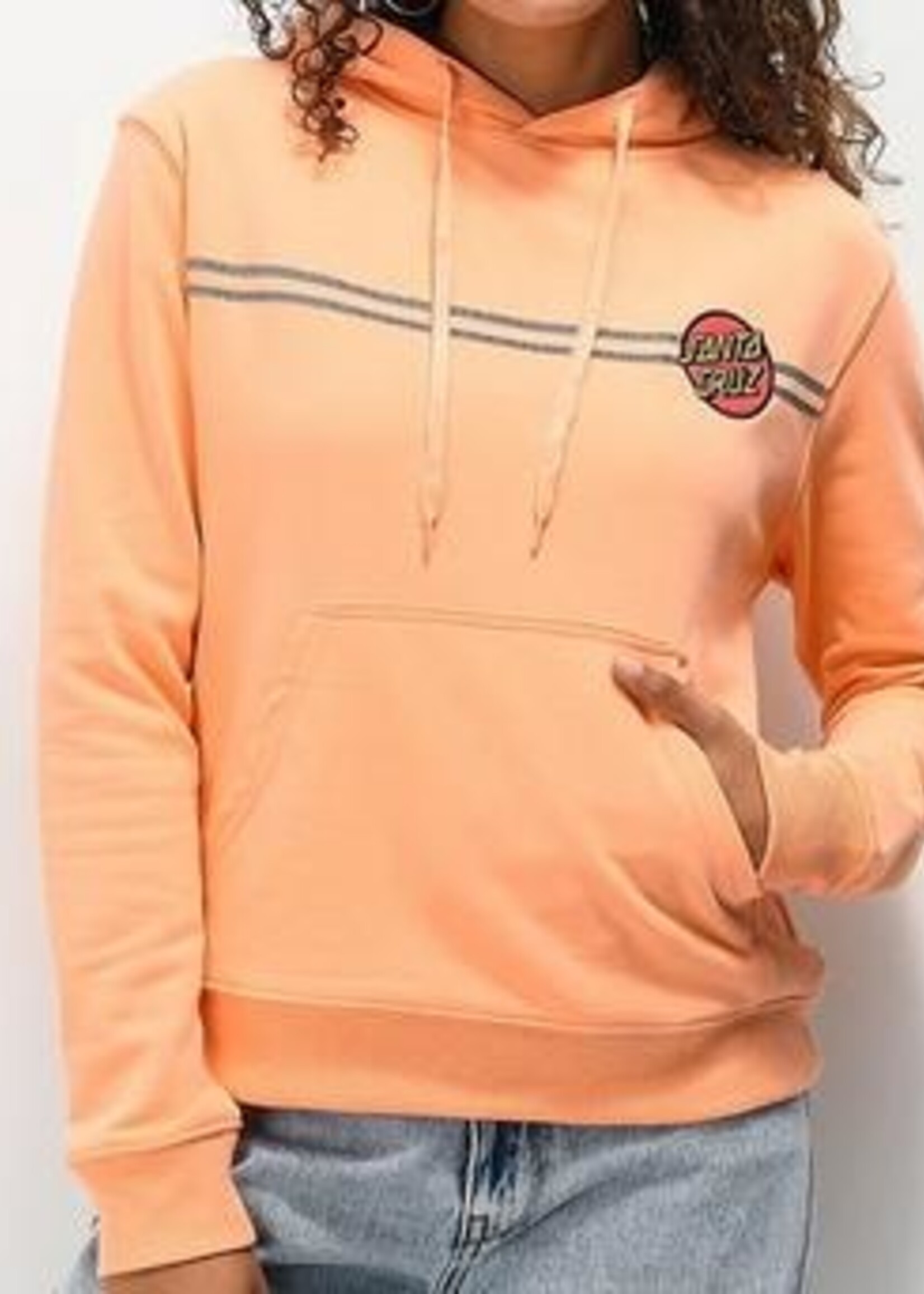 Santa Cruz Other Dot Reflective Pullover Hooded Midweight Sweatshirt