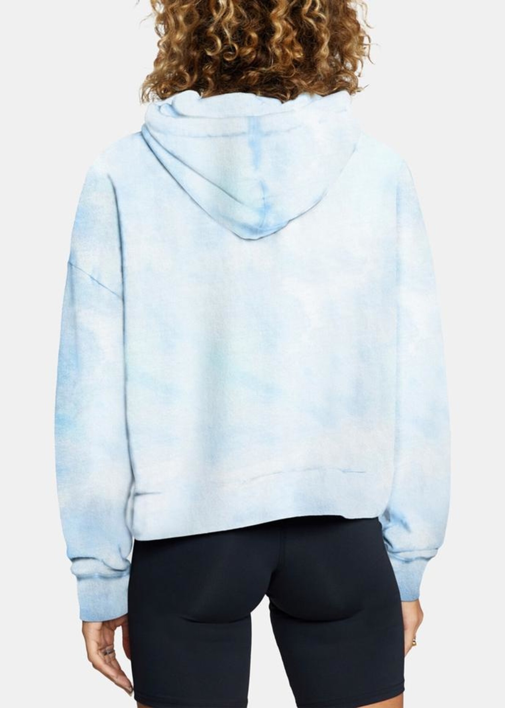 RVCA Big RVCA Venice Hoodie