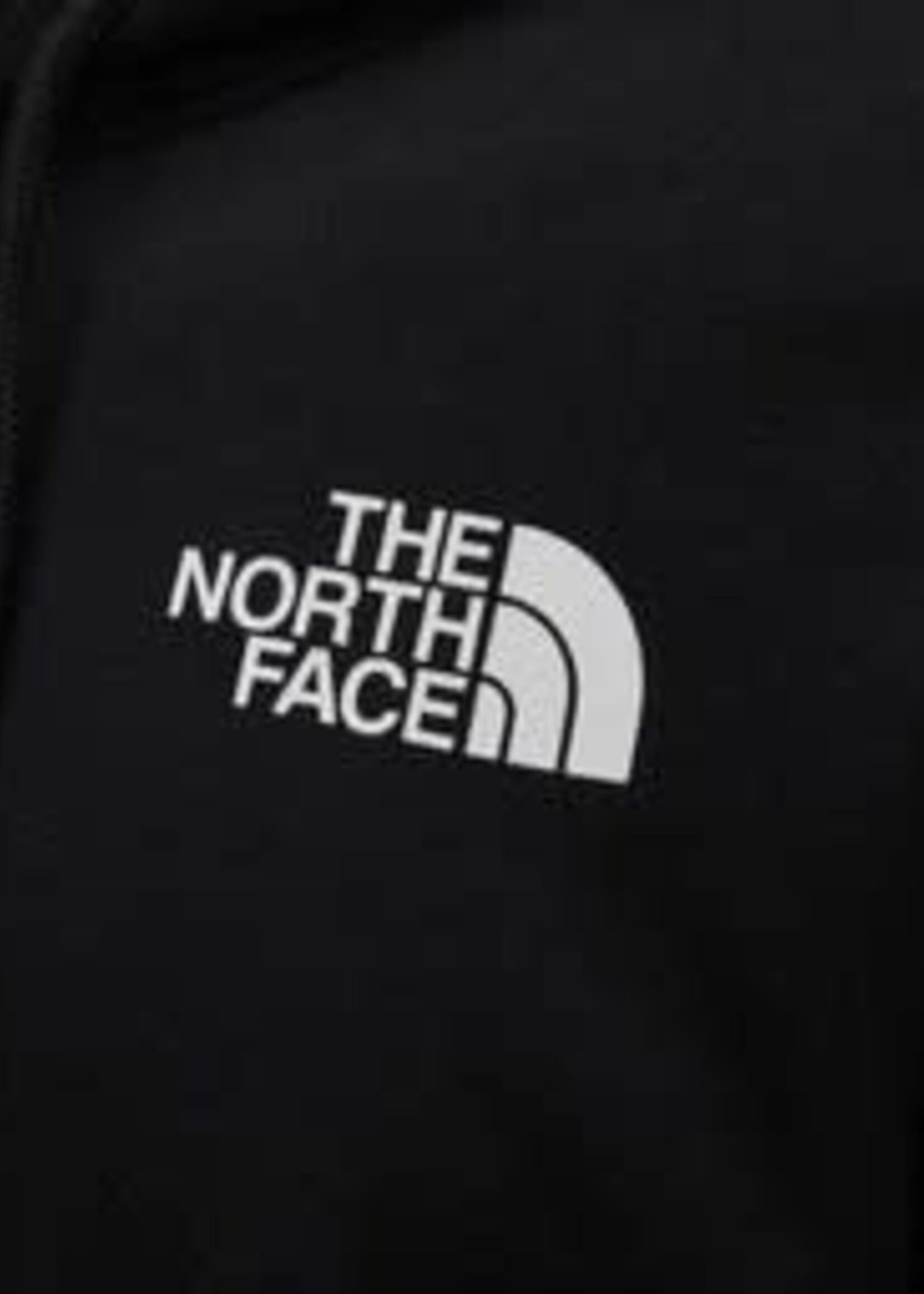 The North Face Box Pullover Hoodie