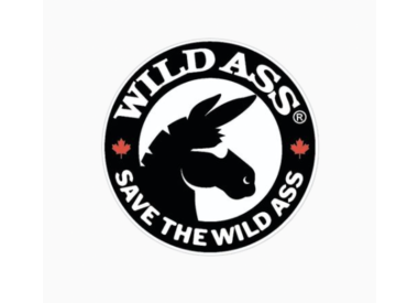 Wild Ass