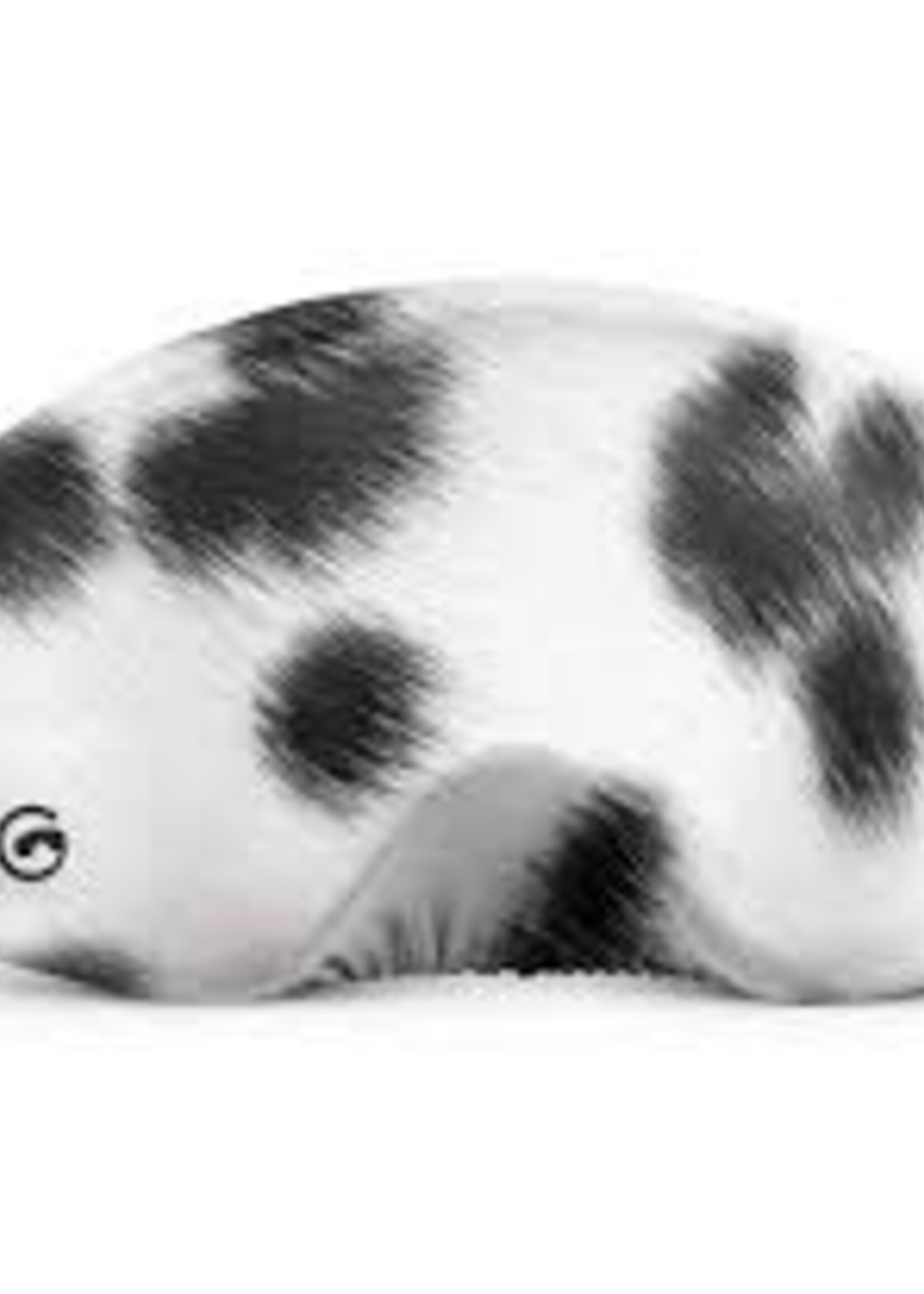 Gogglesoc Dalmatian Soc