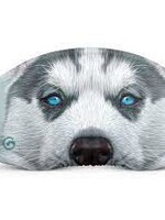 Gogglesoc Husky Soc
