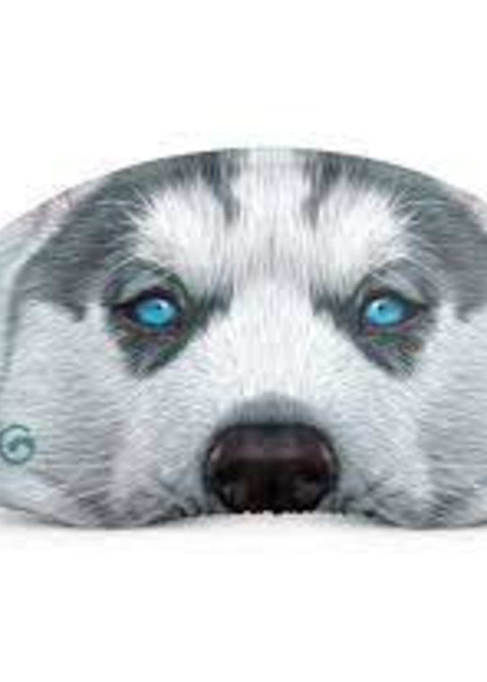 Gogglesoc Husky Soc