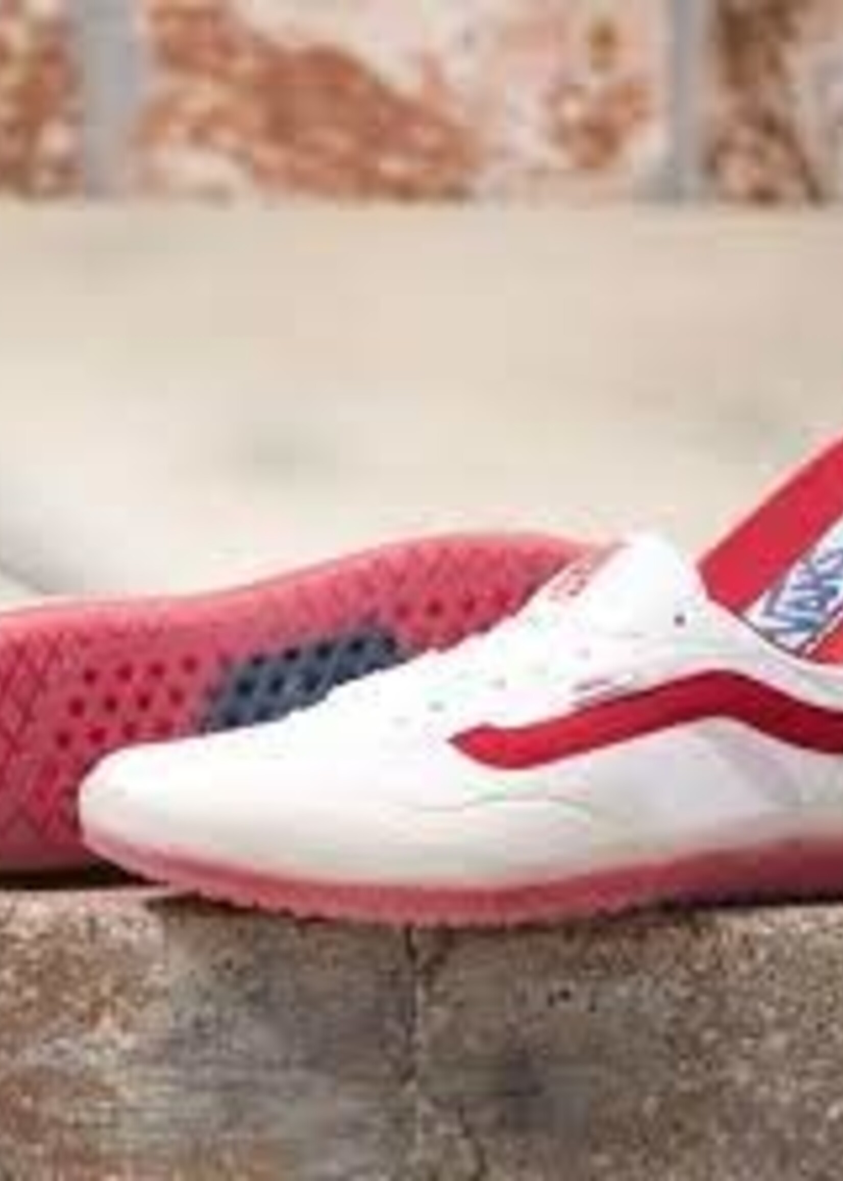Vans Ave Sport Shoes