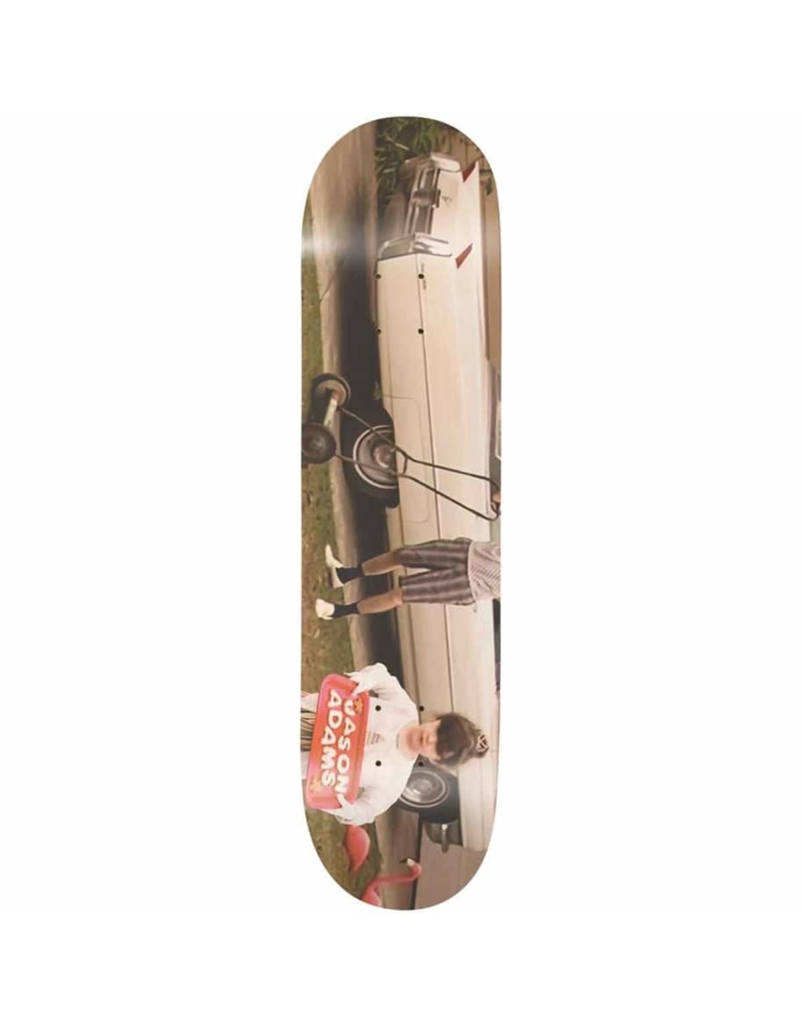 enjoi Adams Bag Of Suck Skateboard Deck 8.75"