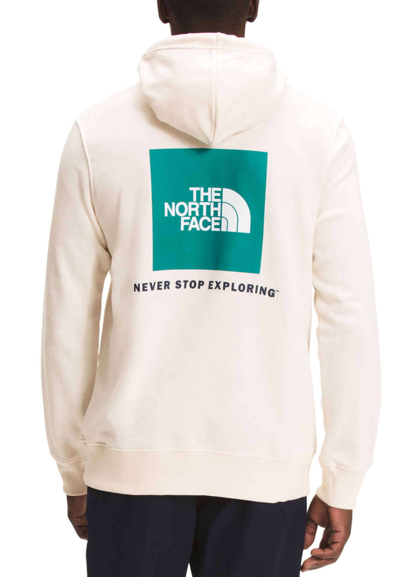 The North Face Box Nse PO Hoodie