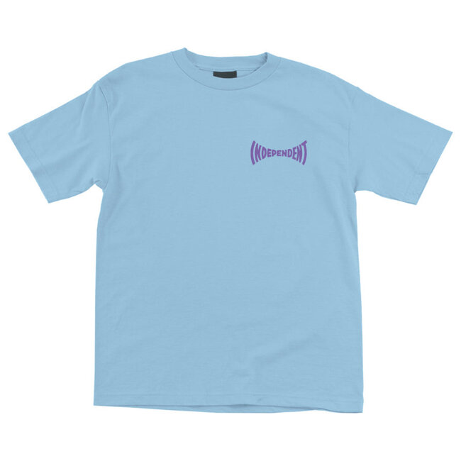 Independent Spanning Regular SS Tee