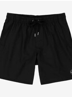 O'Neill Solid Volley Shorts