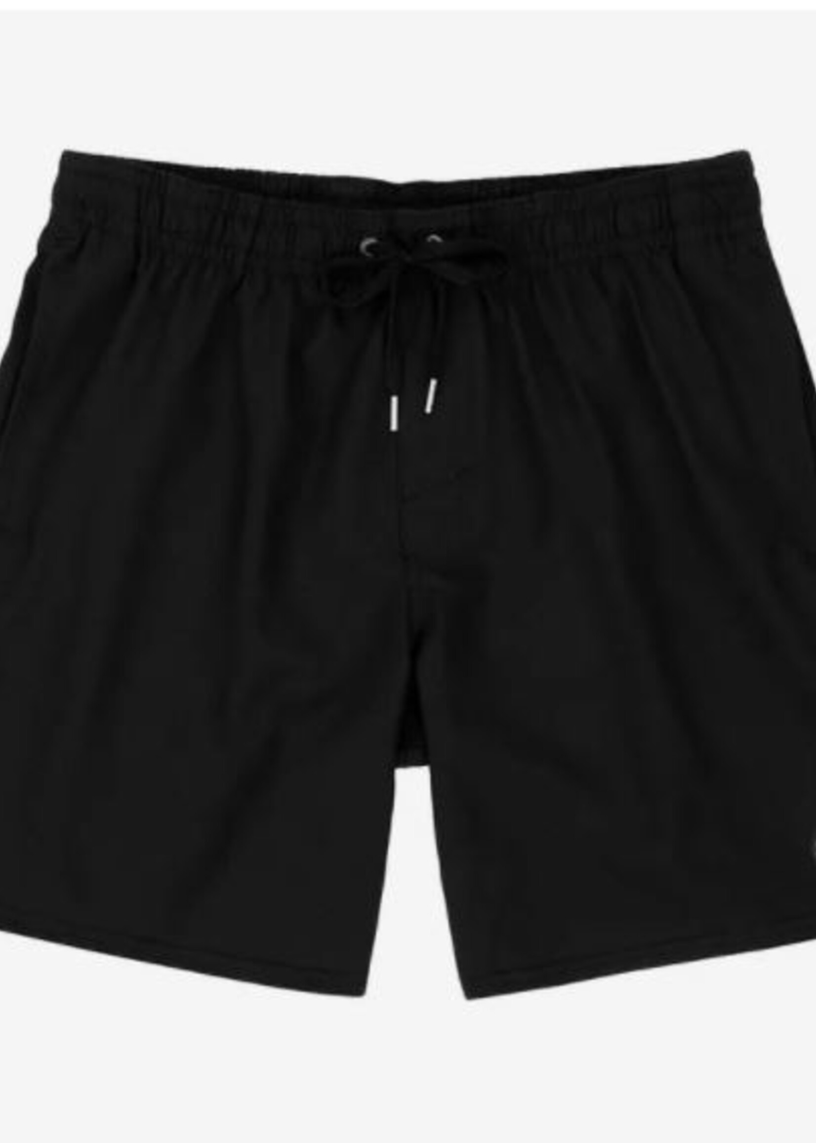O'Neill Solid Volley Shorts