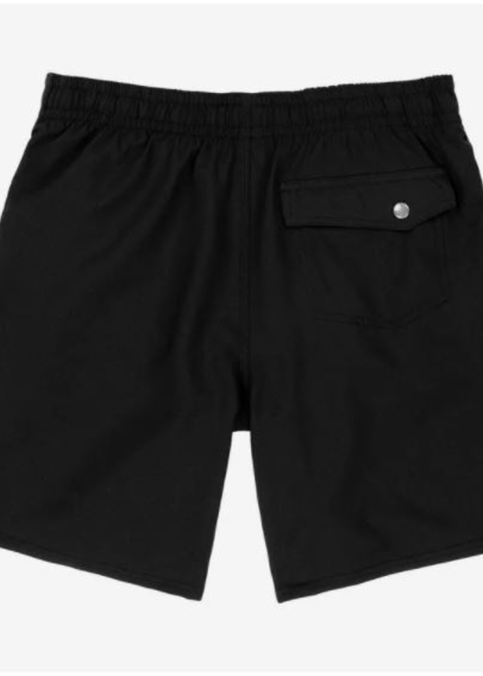 O'Neill Solid Volley Shorts