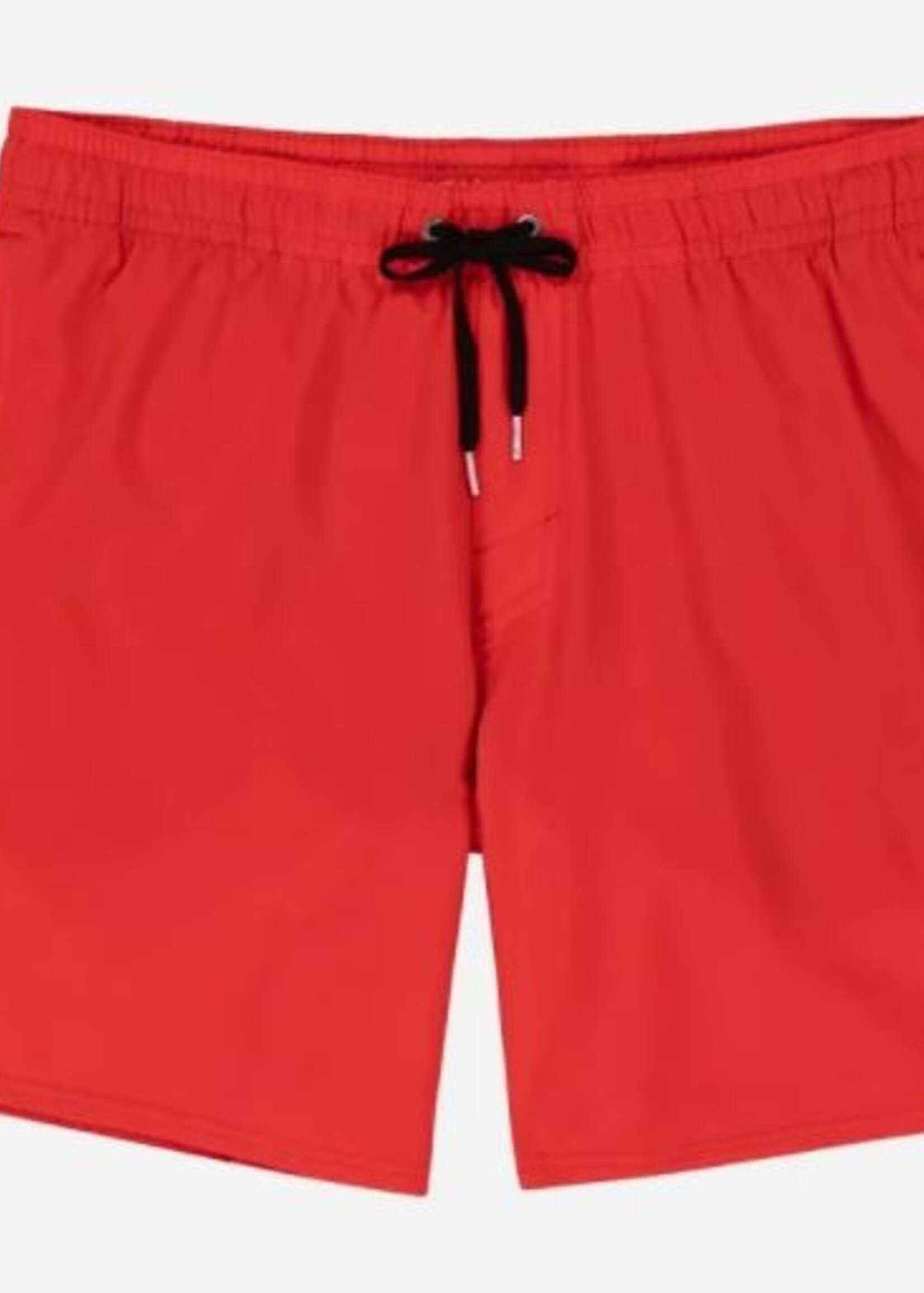 O'Neill Solid Volley Shorts