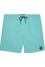 O'NEILL Solid Volley Shorts