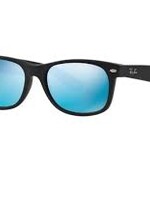 New Wayfarer Sunglasses