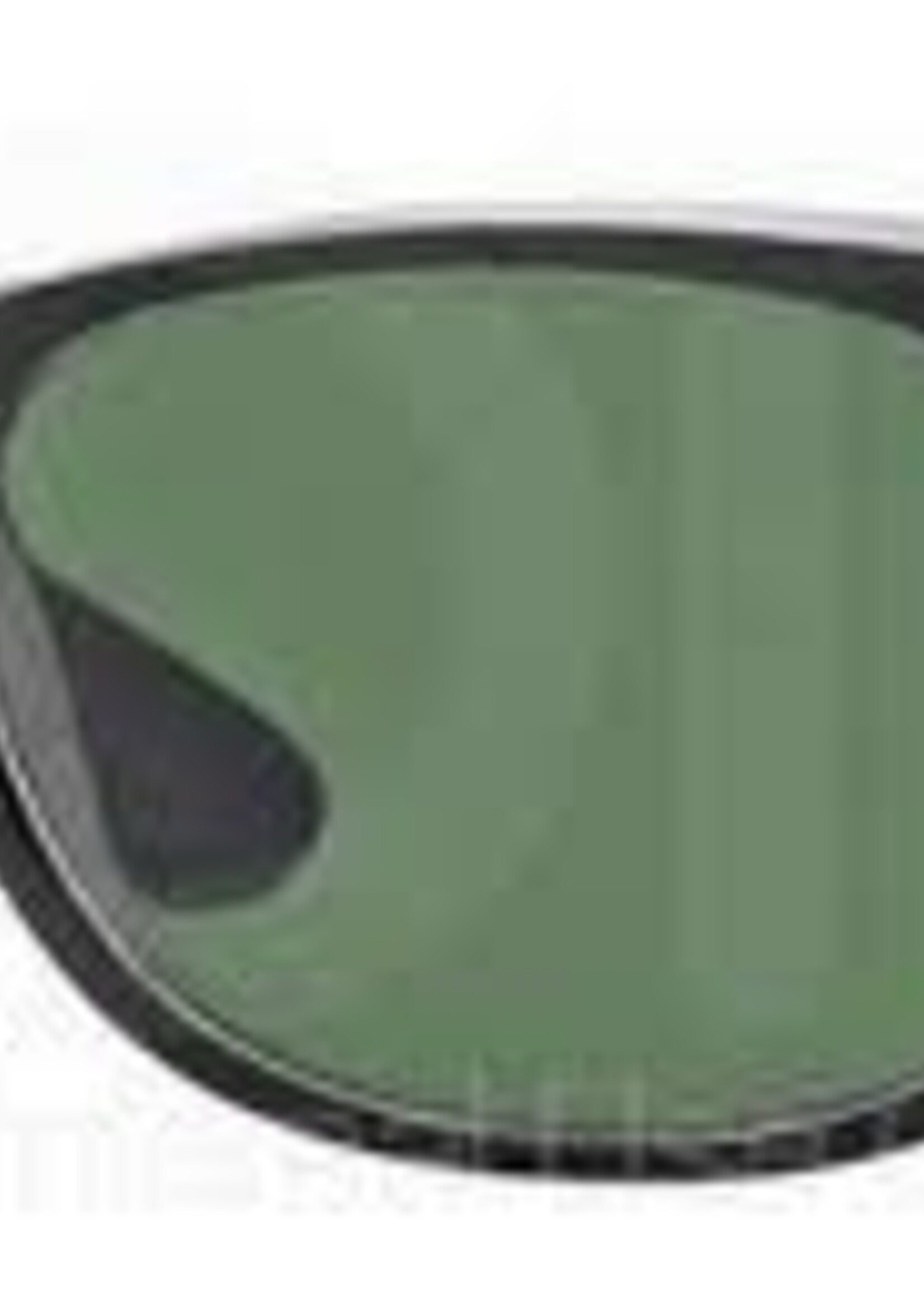 New Wayfarer Sunglasses